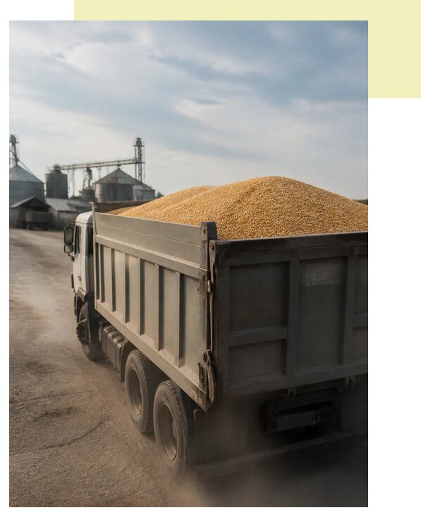 Перевозка сельхозпродукции навалом в Глазов по цене от 3061 р. | Агросервис-Глз